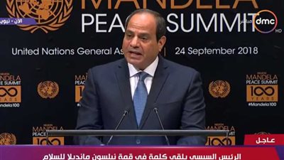 نص كلمة السيد الرئيس عبد الفتاح السيسي في قمة نيلسون مانديلا للسلام