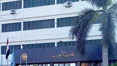 96 مليون جنيه لتمويل 1009مشروعات بالمحلة الكبرى