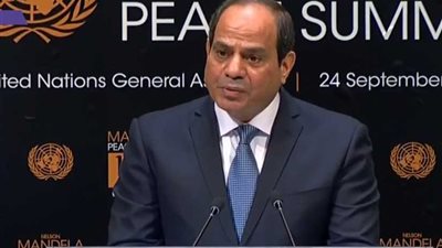 تعرف على أعلام أفريقيا الذين تحدث عنهم الرئيس السيسي في قمة مانديلا