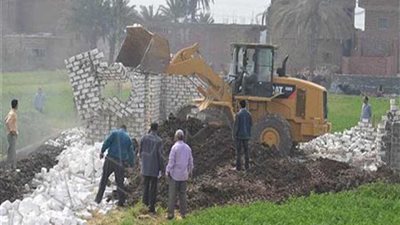 حملات لإزالة التعديات على الأراضي الزراعية بكرداسة