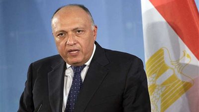 شكري: وزراء الخارجية العرب يتضامون ويدعمون السلطة الفلسطينية وعملية السلام