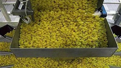 ضبط 35 طن مكرونة بمصنع دون ترخيص بالبحيرة