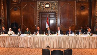 تفاصيل لقاء السيسي بأعضاء غرفة التجارة الأمريكية (فيديو)
