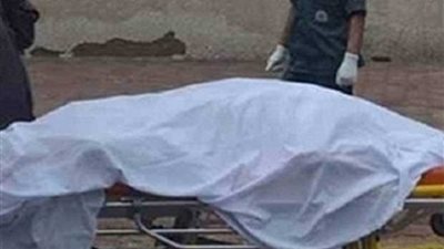 إحالة واقعة مصرع طالب دهسًا بمنية النصر للتحقيق