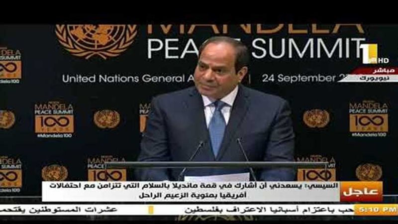 تعرف على نشاط السيسي