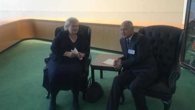 أبو الغيط يبحث مع