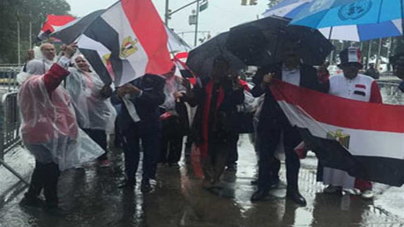 الجالية المصرية تنظم