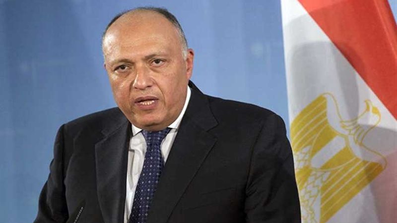 شكري: وزراء الخارجية