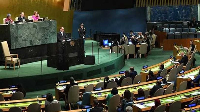 السيسي أمام الجمعية