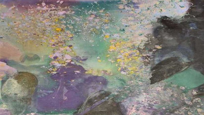 الأحد.. ملتقى دولي