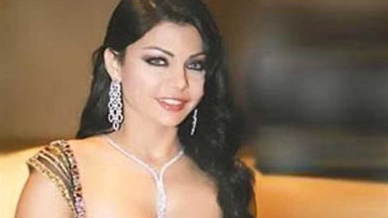 هيفاء وهبي مع مدير