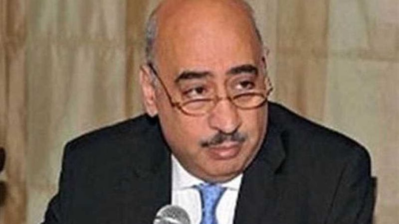 السفير المصري في