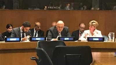 شكري يؤكد ضرورة وضع برنامج محدد للتعامل مع الأزمات الطارئة داخل الأراضي الفلسطينية