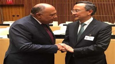 مصر تنضم إلى مدونة سلوك بالأمم المتحدة حول مكافحة الإرهاب