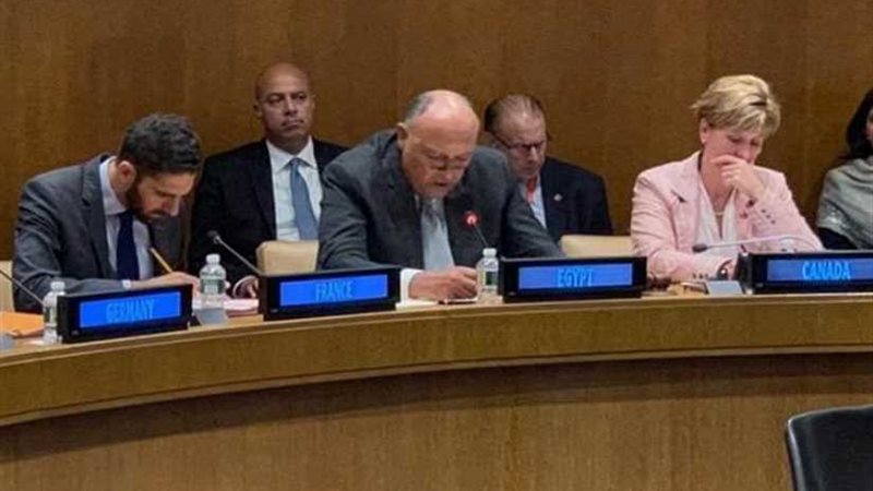 شكري يشارك في الاجتماع