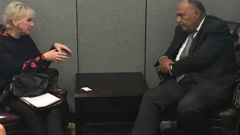 شكري يلتقي وزيرة