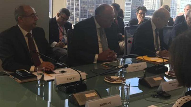 المجموعة المصغرة