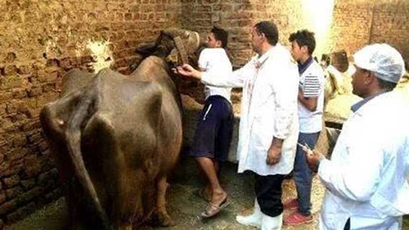 الزراعة:تحصين 1.4