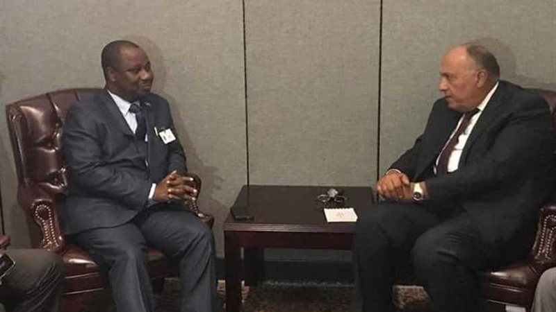 وزير الخارجية يبحث