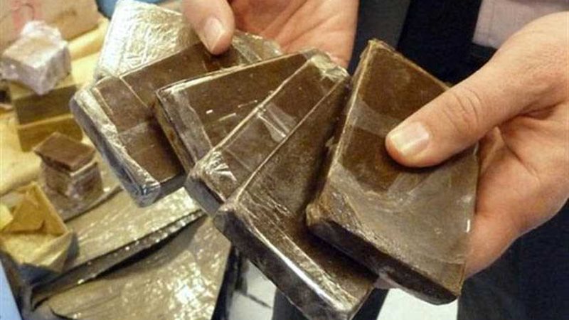 ضبط 5 طرب حشيش و