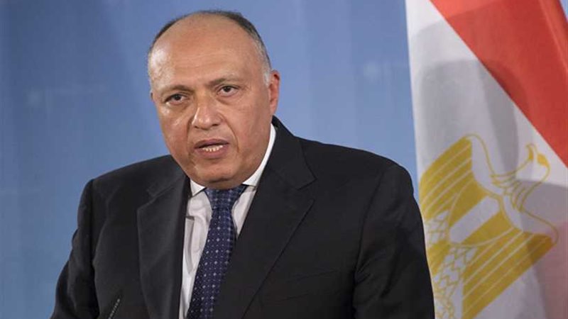 شكري يؤكد علي الخطر