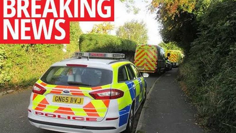 التحقيق في جريمة