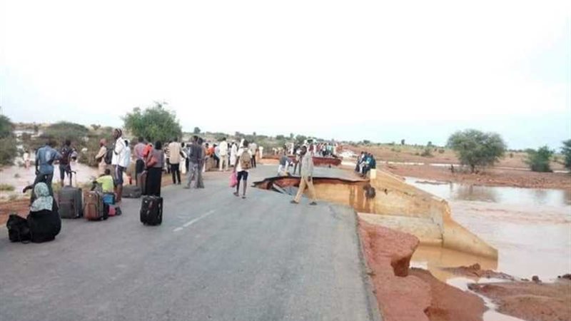 الأمم المتحدة: 142