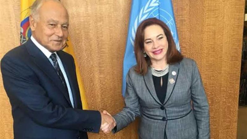 أبوالغيط يلتقي برئيسة