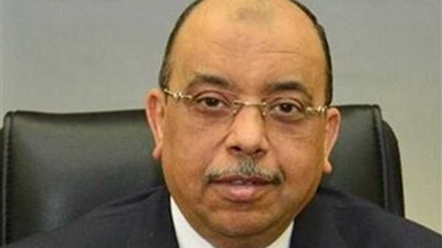 وزير التنمية المحلية : المحافظات مستعدة لتنفيذ المبادرة الرئاسية للقضاء على فيروس 