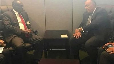 وزير الخارجية يبحث التعاون الثنائي والقضايا الإقليمية مع نظيره السوداني