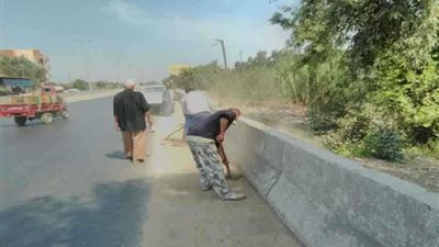 الطريق الزراعي بالقليوبية يتجمل