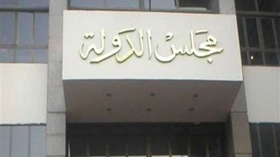 مؤتمر دولي لمجلس الدولة حول التصويت في الانتخابات