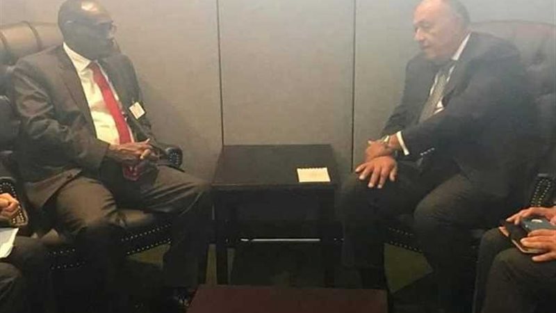 وزير الخارجية يبحث