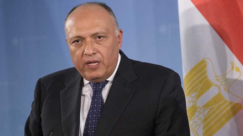 شكري: مشاركة الرئيس