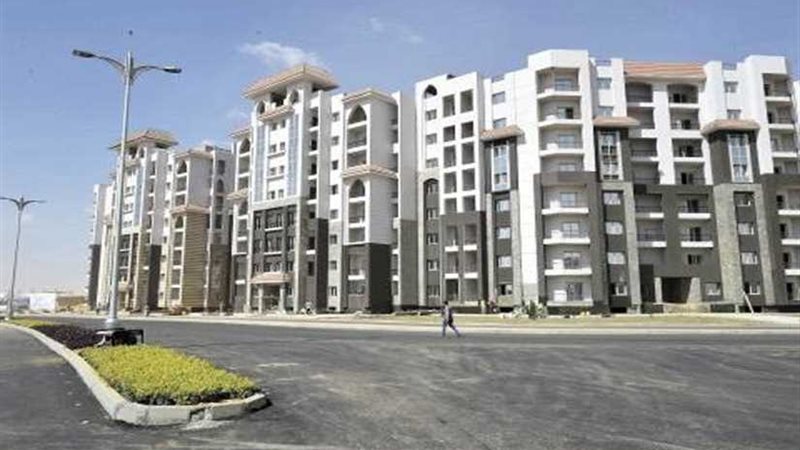 جولة للمقررة الخاصة