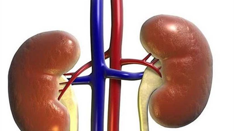 إلكترونيًا.. الحجز