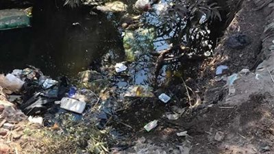 العثور على جثة شاب مذبوحًا داخل مصرف بـ” المنوفية