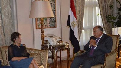 وزير الخارجية يستقبل المقررة الخاصة المعنية بالحق في السكن اللائق