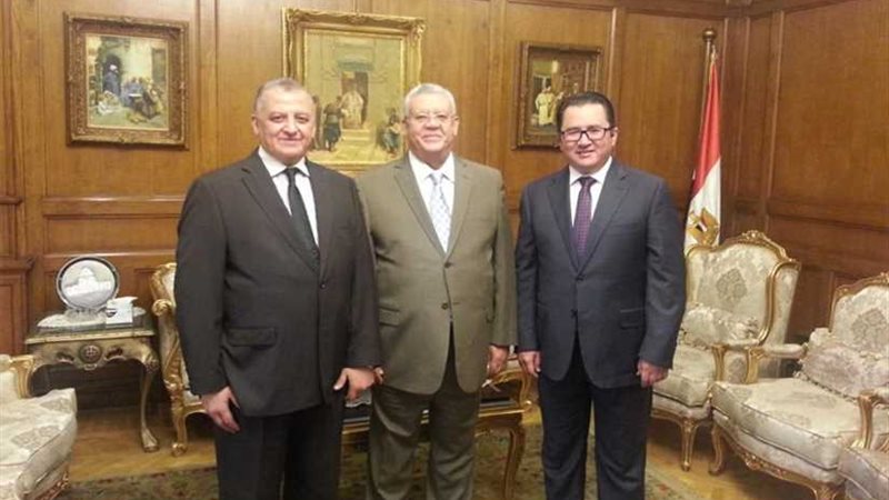 رئيس الدستورية العليا