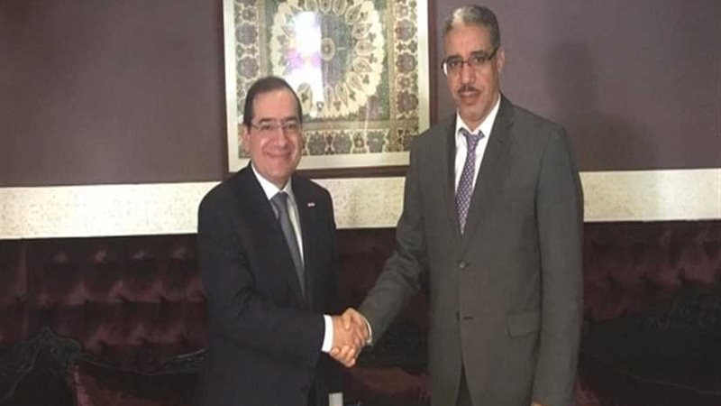 وزير البترول يبحث