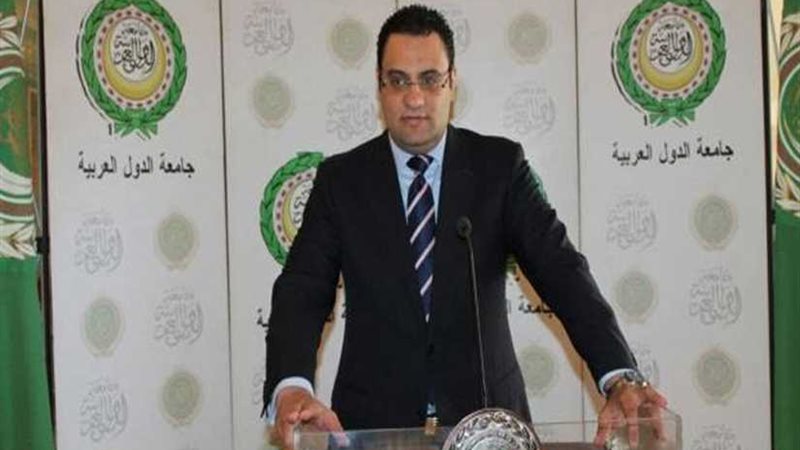 عفيفي: أبو الغيط