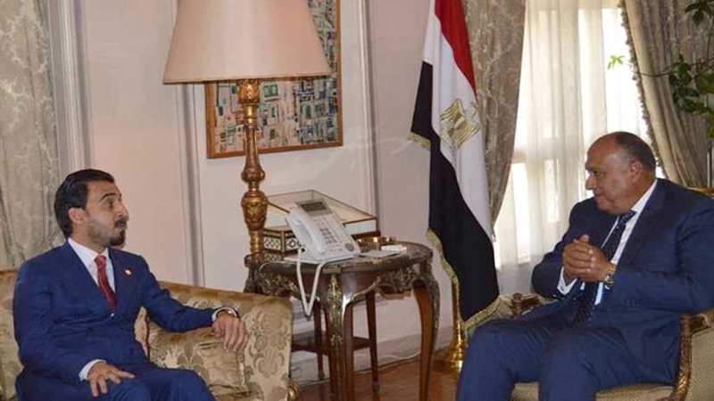 وزير الخارجية : مصر