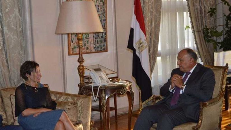 وزير الخارجية يستقبل