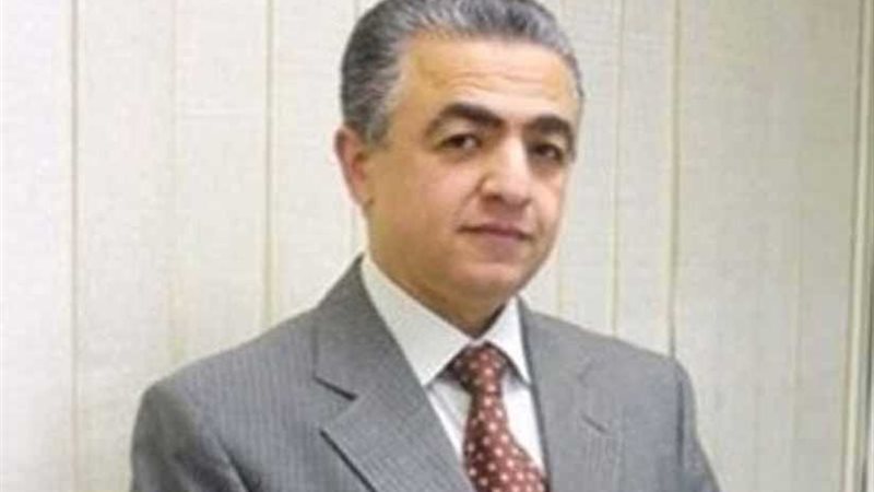 انتخاب مصر في المجلس