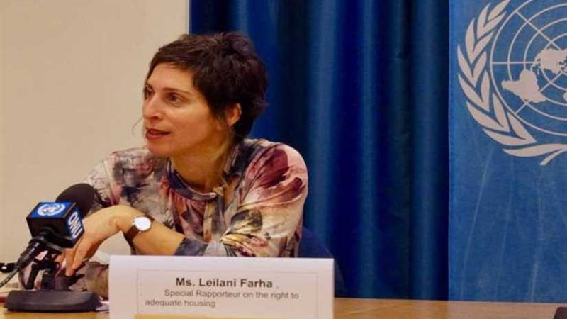 مسؤولة أممية: مصر