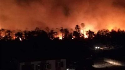 إخلاء جميع المنازل المواجهة لحريق الراشدة بالوادى الجديد