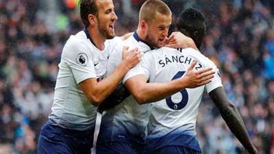 توتنهام هوتسبير يفوز على كارديف سيتي بهدف نظيف في الدوري الإنجليزي