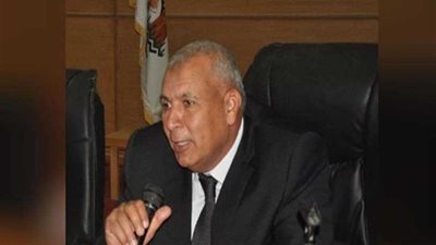 محافظ الوادي الجديد: البدء فى إنشاء حزام أمنى بقرية الراشدة ومنع زراعته بالنخيل