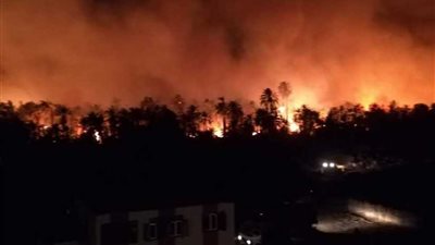 الحماية المدنية تواصل جهودها للسيطرة على حريق شب بمنطقة زراعية بالوادي الجديد