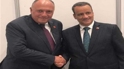 شكري يلتقي نظيره الموريتاني لبحث مُستجدات العلاقات الثنائية وتطورات القضايا الإقليمية